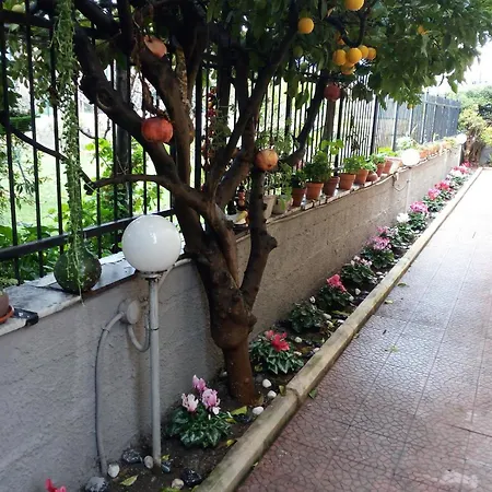 Garden * Pompei