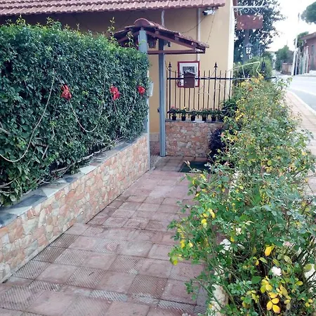 Garden *