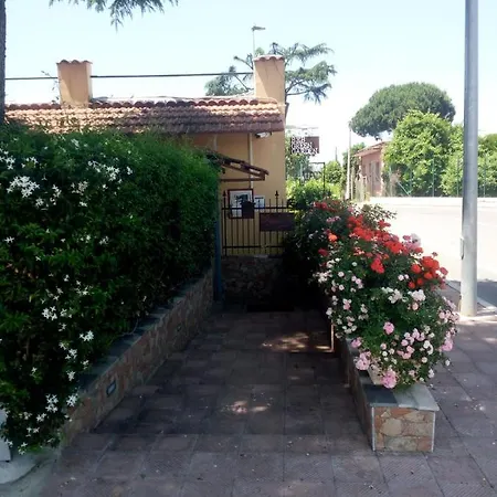 Garden *