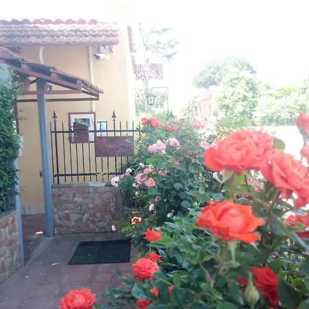 Garden Bed & Breakfast