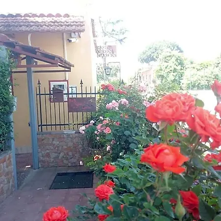Bed and Breakfast Garden