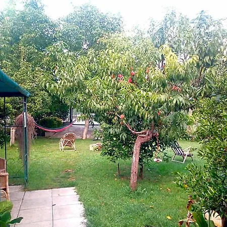 Garden 4* 庞贝
