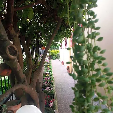Garden 住宿加早餐酒店 4*